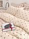 Bedding Set Gold calico Virenza, Queen, 50*70, Gold Calico